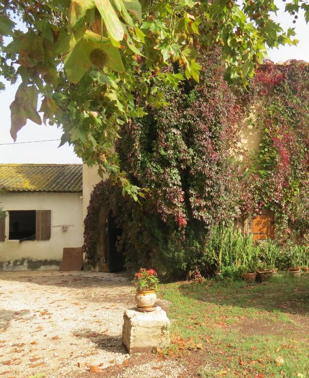 B&B Mas Les Lecques Beaucaire  Exterior foto