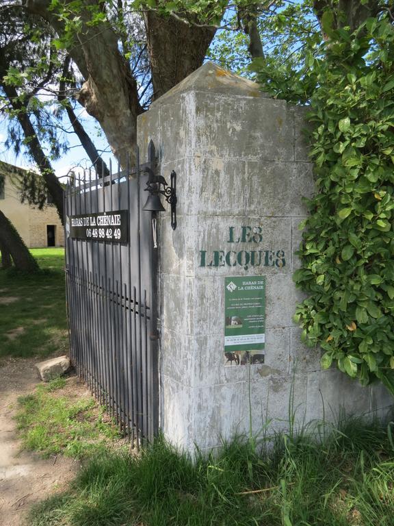 B&B Mas Les Lecques Beaucaire  Exterior foto