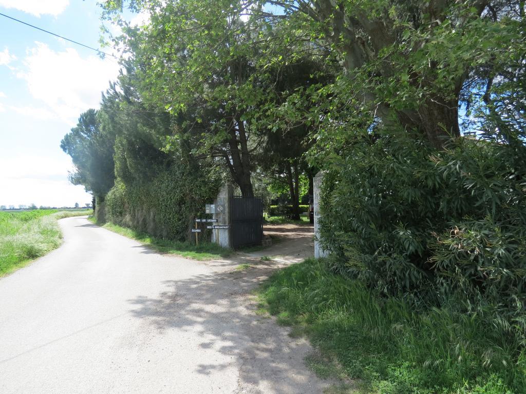 B&B Mas Les Lecques Beaucaire  Exterior foto