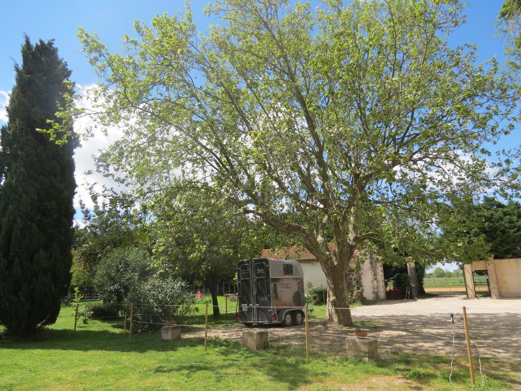 B&B Mas Les Lecques Beaucaire  Exterior foto