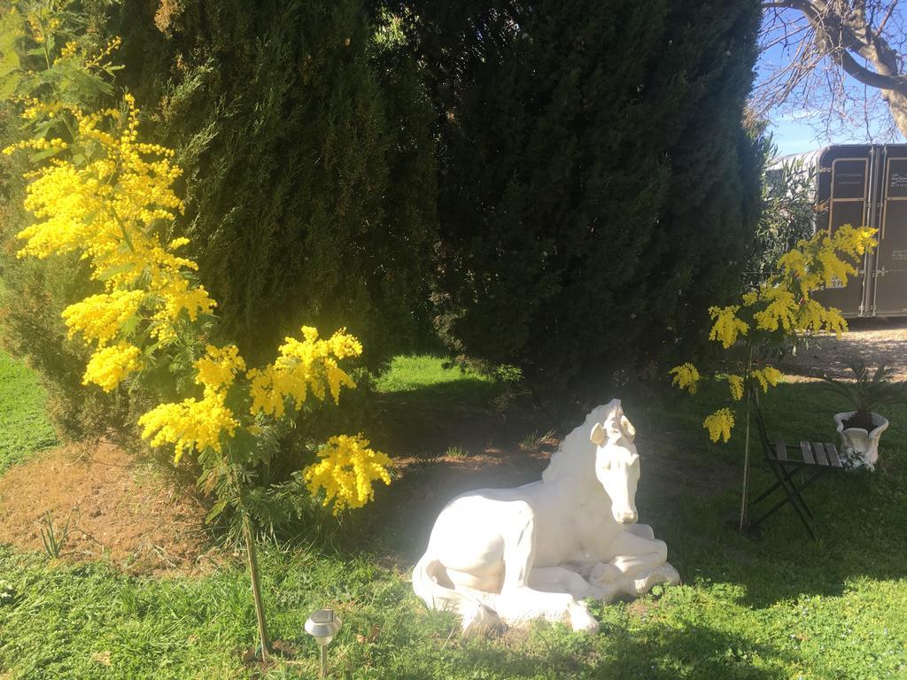 B&B Mas Les Lecques Beaucaire  Exterior foto